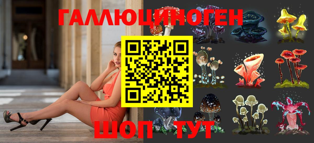 Дятьково  Галлюциногенные грибы Psilocybine cubensis  Вход с VPN 